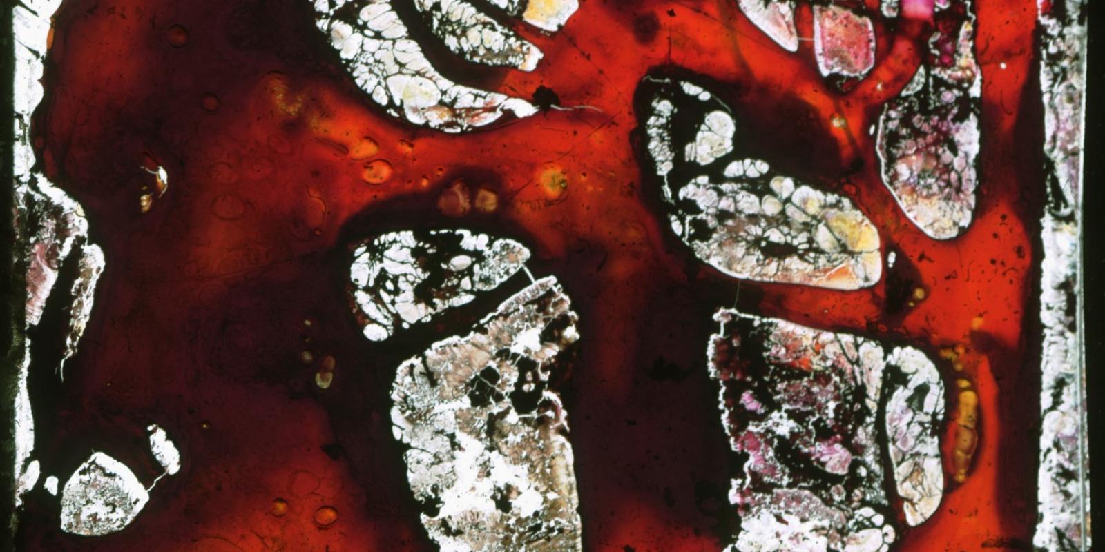 detail of a glass slide stained with red color. It looks like something melting.