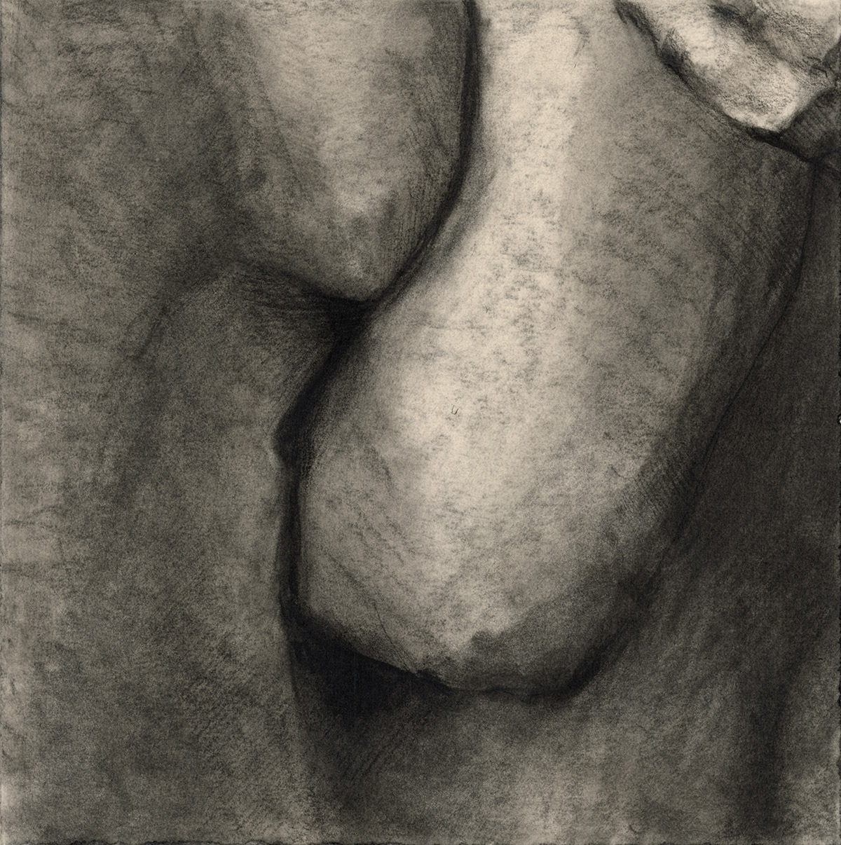 a convolusion of appendage-like shapes drawn in charcoal