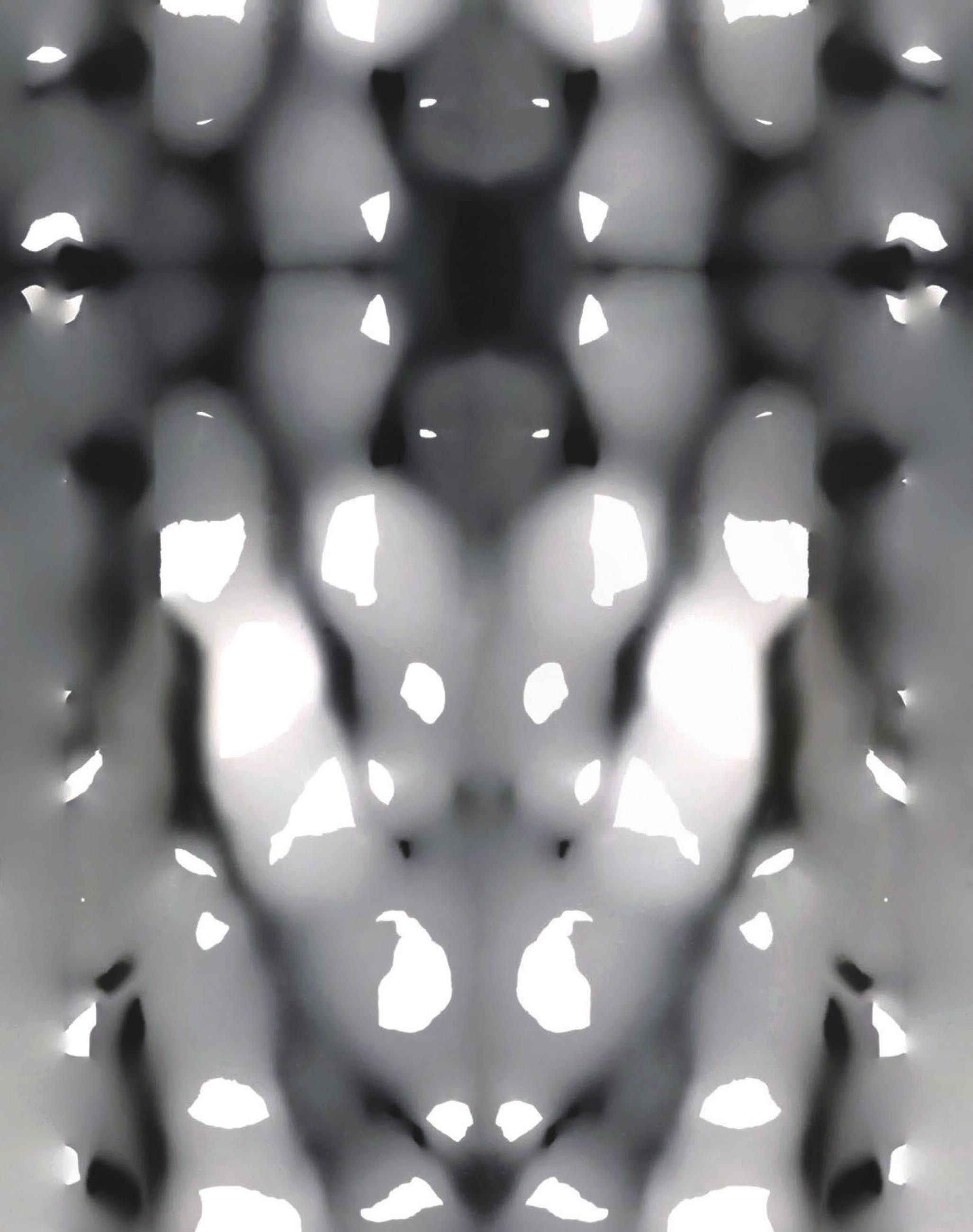 grey, white, and black shapes arrayed symmetrically as if through a kaleidoscope