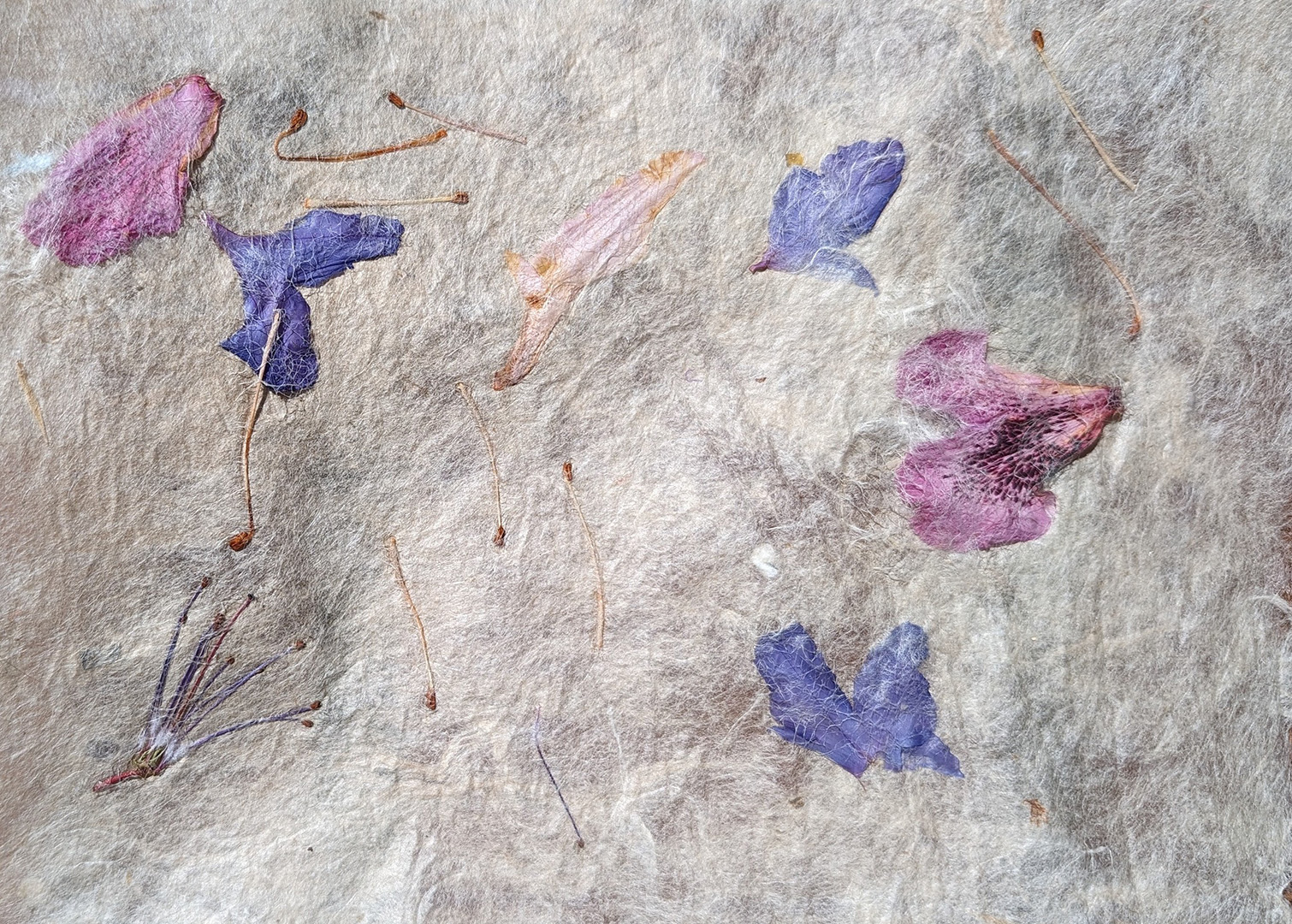 close up of petals, sticks and fibers integrated into natural fiber paper