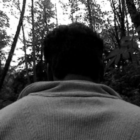 A frame of Gary Hill's video sculpture Clover showing the back of a person's head among trees. Full description in body text.