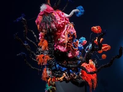 a colorful assemblage of knitted forms that remind one of coral reef or colorful ocean dweller