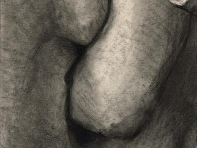 a convolusion of appendage-like shapes drawn in charcoal