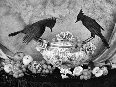 black and white drawing of two corvids perched on either side of an ornate tea pot amidst some fruit